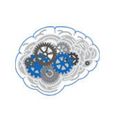 Splash Brain